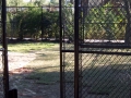 houston-zoo-cassowary-enclosure-2008